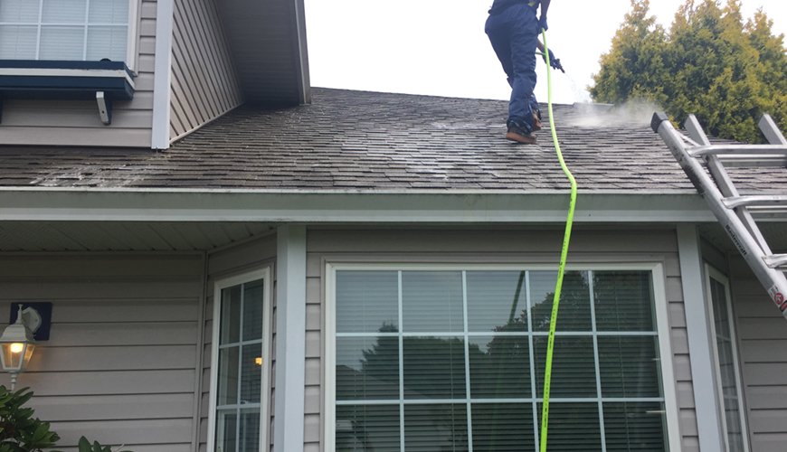 professional shingle cleaners